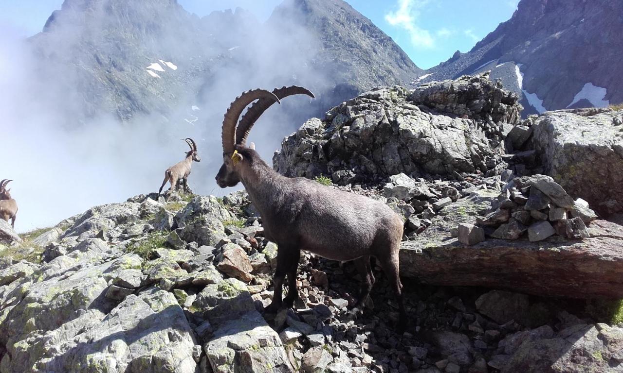 Gite Le Clapier Theys Exteriér fotografie
